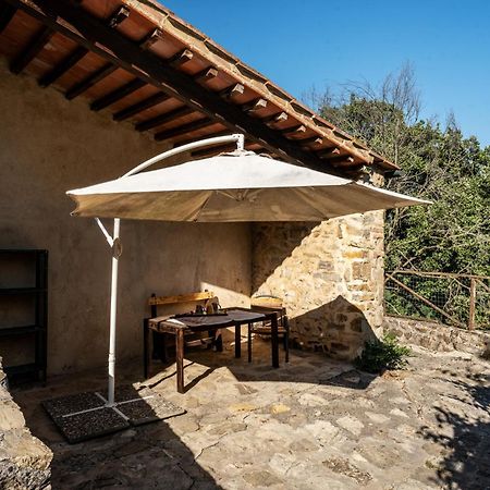 Agriturismo Santa Caterina Кастелнуово ди Вал ди Чечина Екстериор снимка