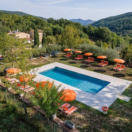 Agriturismo Santa Caterina Кастелнуово ди Вал ди Чечина Екстериор снимка