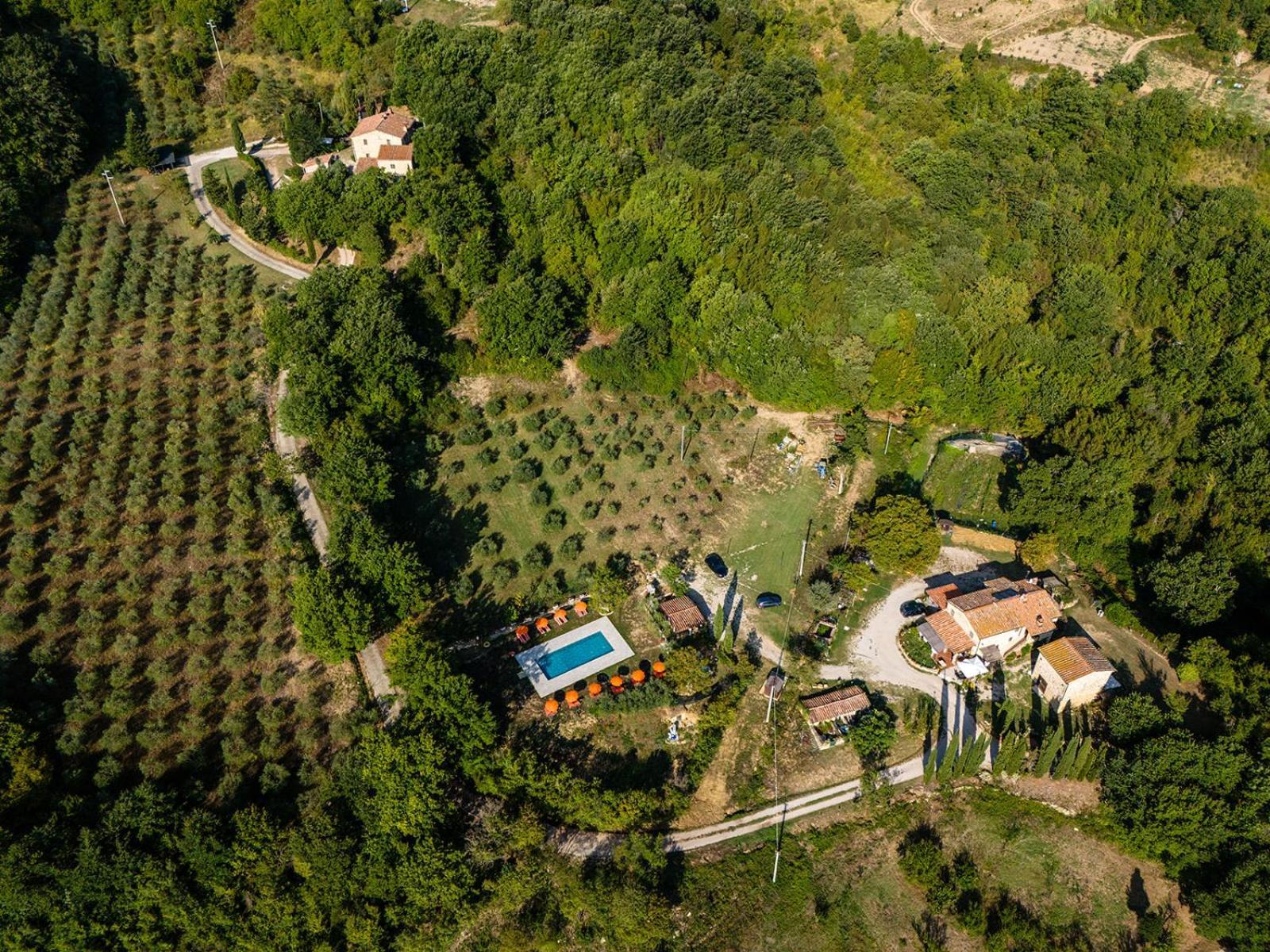 Agriturismo Santa Caterina Кастелнуово ди Вал ди Чечина Екстериор снимка