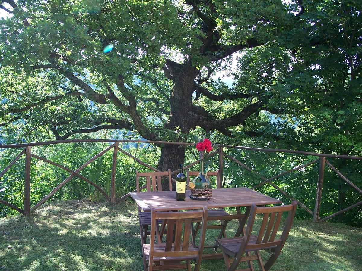 Agriturismo Santa Caterina Кастелнуово ди Вал ди Чечина Екстериор снимка