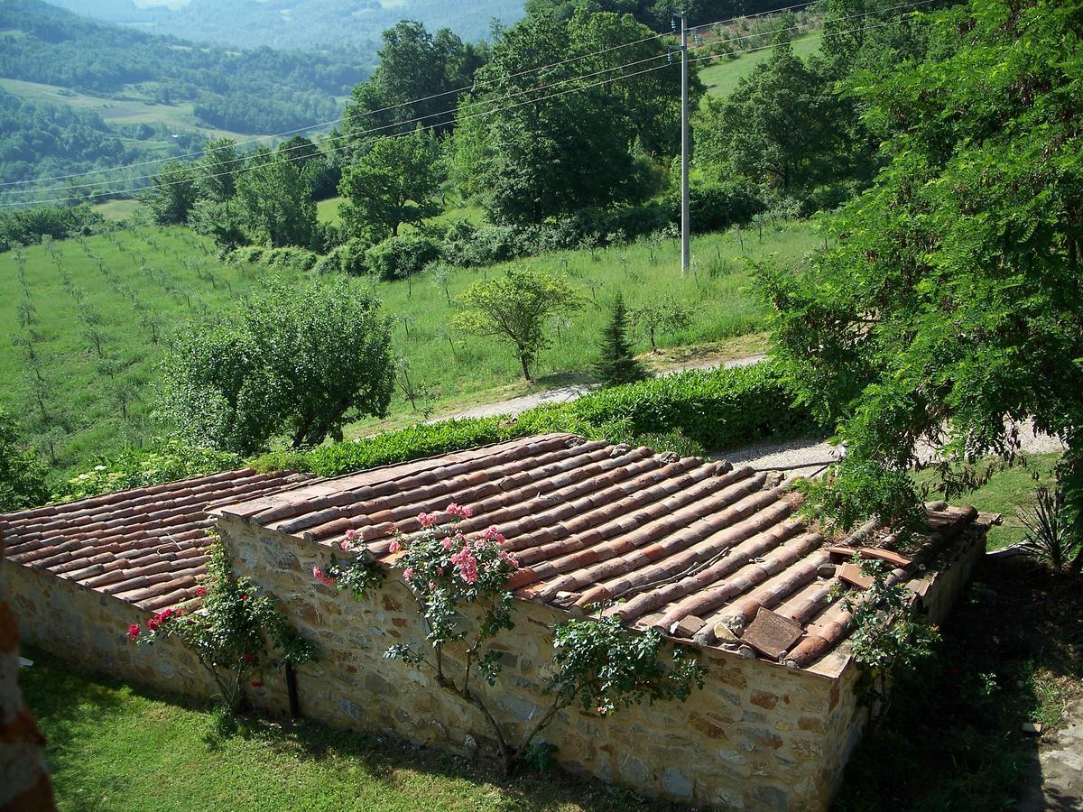 Agriturismo Santa Caterina Кастелнуово ди Вал ди Чечина Екстериор снимка